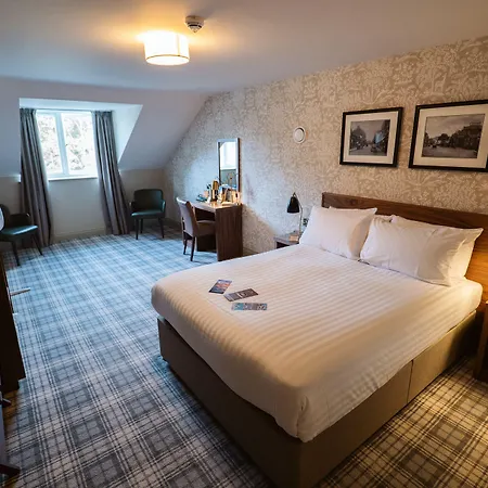 The - The Collection Group 4*