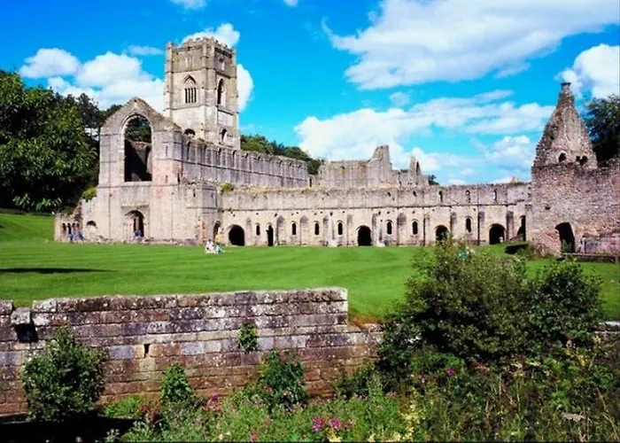 The - The Collection Group