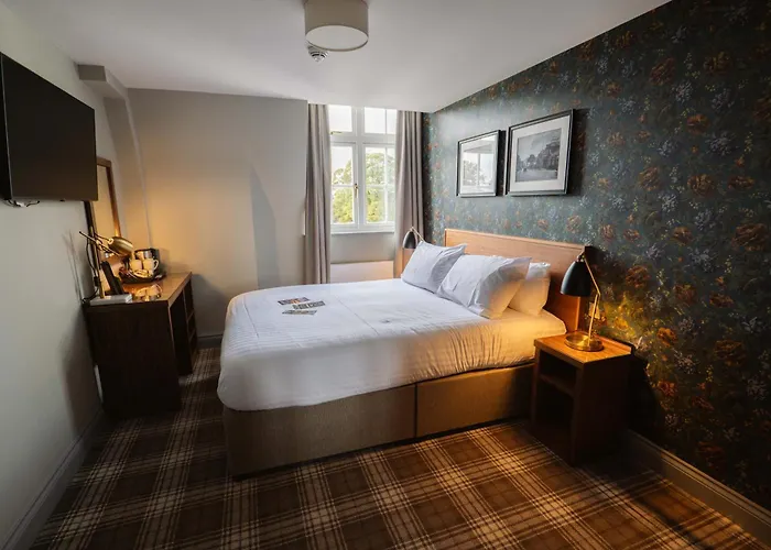 The - The Collection Group 4*