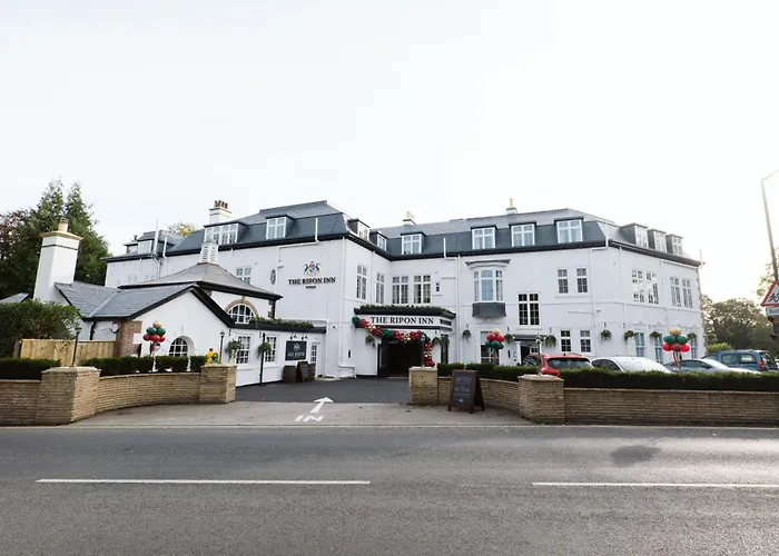 The - The Collection Group