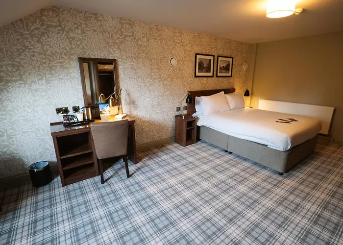 The - The Collection Group 4*