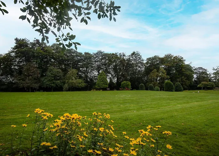 The - The Collection Group 4*