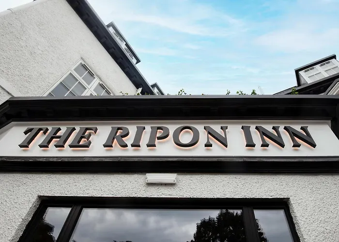 The - The Collection Group 4*