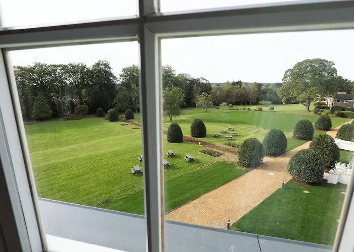 The - The Collection Group