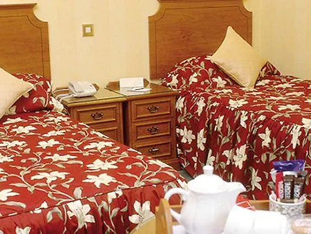 The - The Collection Group リポン