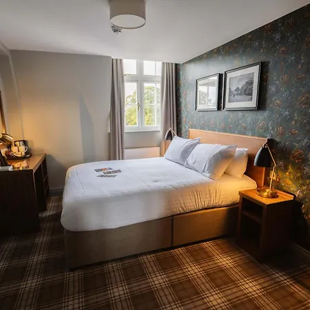 The - The Collection Group 4*