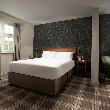 The - The Collection Group リポン