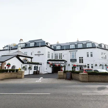 The - The Collection Group