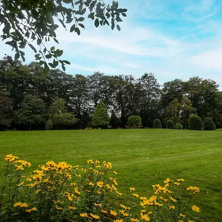 The - The Collection Group 4*